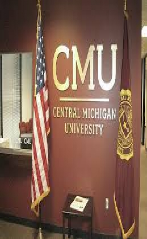 MSM Group - Central Michigan University